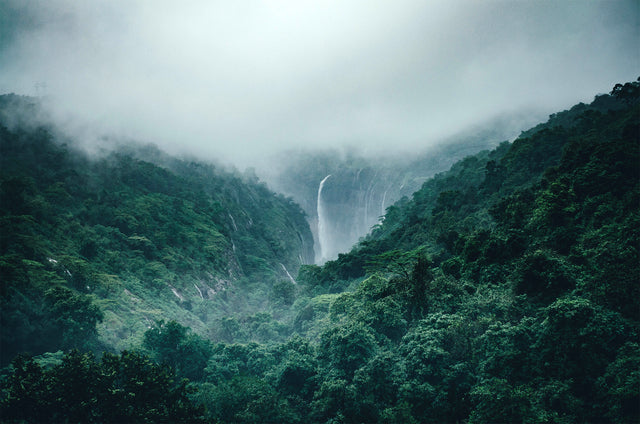 A rainforest with a waterfall and cloud weather